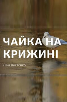 «Чайка на крижині» Ліна Костенко