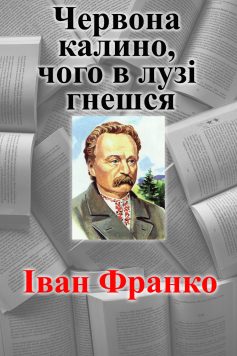 «Червона калино, чого в лузі гнешся» Іван Франко