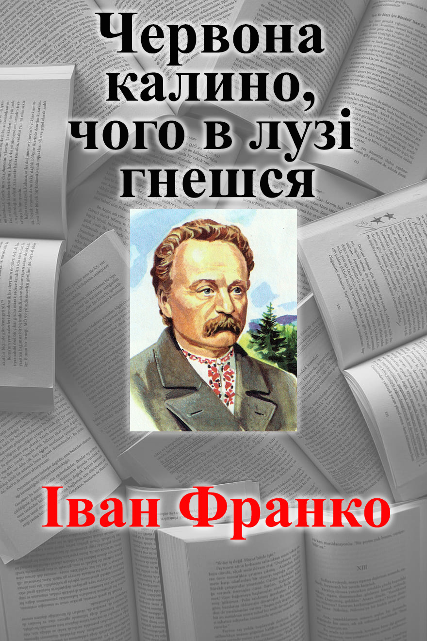 Червона калино, чого в лузі гнешся